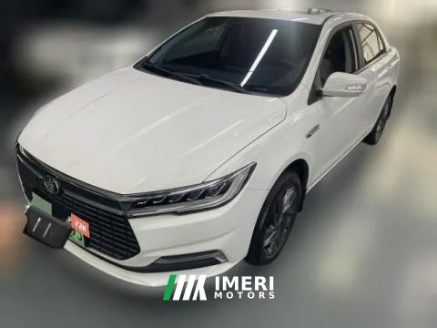2020 BYD Qin New Energy 2019 highRangeLuxury EV