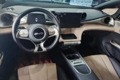 2024 BYD Dolphin 2025 420km vitalityEdition #12