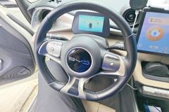 2024 BYD Dolphin 2024 Glory 420km Fashion #15