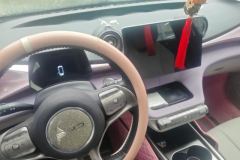 2022 BYD Dolphin 2021 405km Fashion #16
