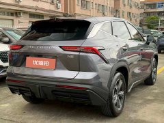 2024 Jetour Dasheng 2024 1.5T AT DCT star shinePRO #7