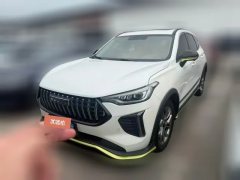 2022 Haval Chitu 2022 Power Enjoy 1.5T AT Copper Rabbit #1