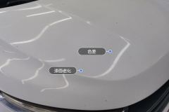 Engine Hood