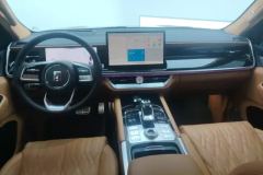 2024 Tank 500 PHEV 2024 Hi4-T 2.0T AT #12