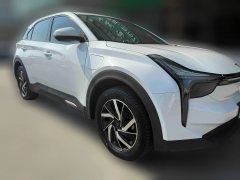 2022 Neta U 2021 Facelift Pro 400 industryCustom #3