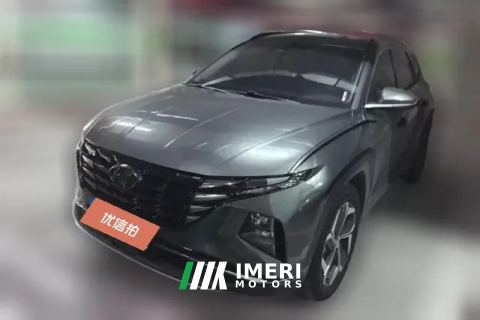 2024 Hyundai Tucson 2023 TucsonL 1.5T AT 2WDDLXLuxury