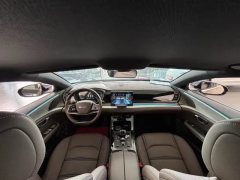 2022 BYD E9 2022 Business #5