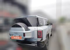 2025 Fangchengbao Bao8 2025 ZhiyongFlagship 7Seat #6