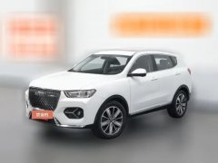 2020 Haval H6 2021 1.5T AT Champion #1