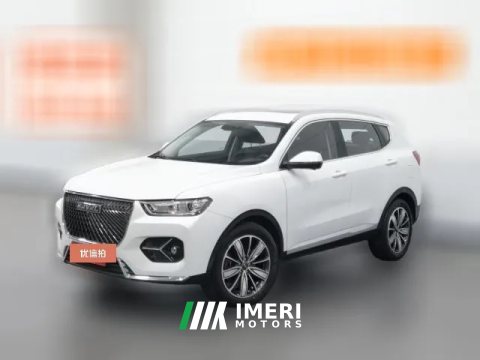 2020 Haval H6 2021 1.5T AT Champion