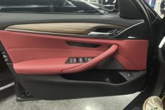 2021 BMW 5 Series 2021 2.0T AT 530LiLeadingLuxury Pkg #7