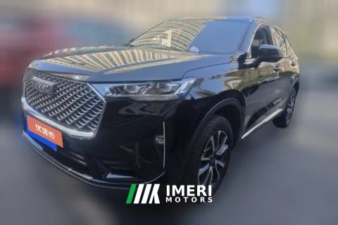 2025 Haval H6 2024 1.5T AT 2WDClassic