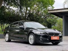 2017 BMW 5 Series 2017 2.0T AT 525LiLuxuryDesign Pkg #8