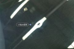 Trunk Lid