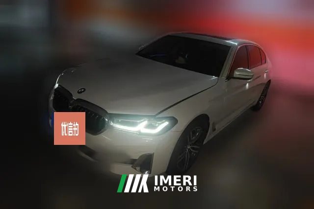 2021 BMW 5 Series 2021 2.0T AT 530LiLeadingLuxury Pkg