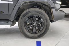 2023 Tank 300 2023 Off-road 2.0T AT challenger #6