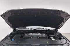 2022 Tank 500 2022 3.0T AT high-endCustom 5Seat #7