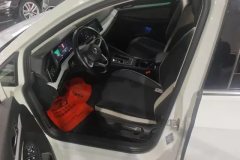 2021 Volkswagen Golf 2021 1.4T AT 280TSI Pro #9