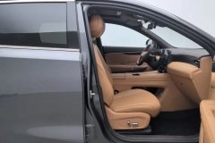 2025 Dongfeng Fengshen Dongfeng Fengshen L8 2025 185KMdreamEdition #22