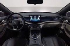 2023 BYD Qin Plus 2021 1.5 AT DM-i 120KM Premium #14