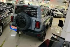 2021 Tank 300 2021 Off-road 2.0TAT conqueror #3
