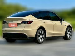 2023 Tesla Model Y 2023 rear wheel driveEdition #4