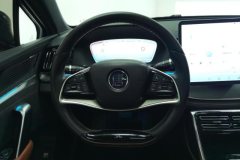 2024 BYD Tang PHEV 2023 1.5T AT DM-i Champion 112KM Honor #15