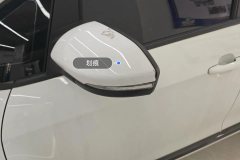 Left Exterior Mirror
