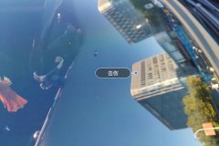 Windshield