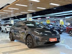 2024 Tesla Model Y 2024 rear wheel driveEdition #7