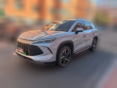 2025 BYD Song L DM-i 2024 1.5L AT 112km Surpass #1