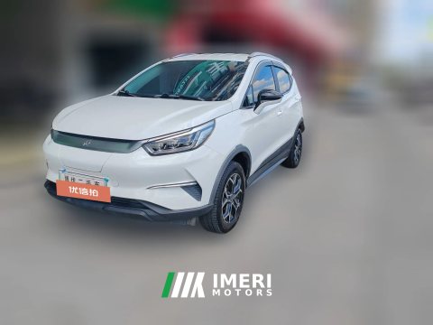 2022 BYD Yuan Pro 2021 want to love1bornEdition