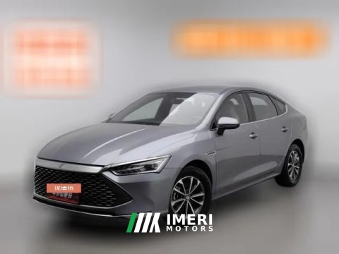 2023 BYD Qin Plus 2023 Champion 1.5 AT DM-i 55KMLeading