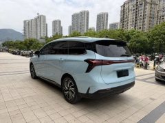2023 Dongfeng Fengxing Fengxing Youting 2022 1.5T AT DCTChasing the windEdition #8