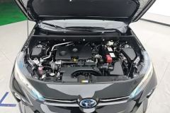2022 Toyota Wildlander 2022 2.0 AT 2WDLuxuryPLUSEdition #10