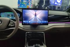 2024 BYD Tang PHEV 2024 1.5T AT DM-i Glory 112KM Premium #13