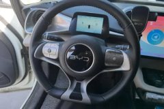 2025 BYD Dolphin 2025 Smart Drive 420km freeEdition #15