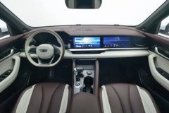2022 Geely Auto Xingyue L 2021 2.0TD AT DCT EVO2WDSmart Premium #14