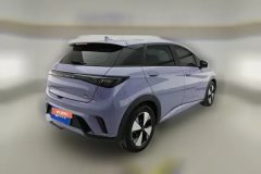 2023 BYD Dolphin 2023 420km Fashion #3