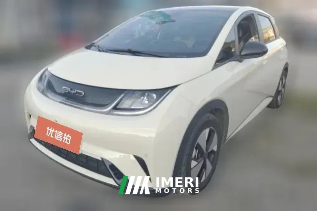 2023 BYD Dolphin 2023 420km Fashion