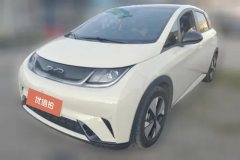 2023 BYD Dolphin 2023 420km Fashion #1