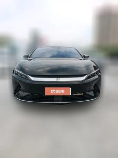 2022 BYD E9 2021 Business #2