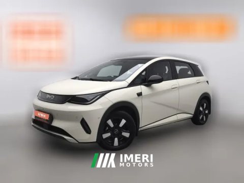 2025 BYD Dolphin 2025 Smart Drive 410km Fashion