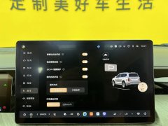 2025 Tank 500 PHEV 2024 Hi4-T 2.0T AT #25