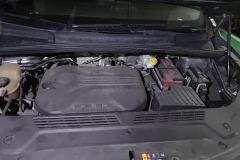 2022 Roewe iMAX8 2022 2.0T AT 400TGI GatheringEdition #10