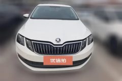 2022 Škoda Octavia 2021 1.5L AT Comfort #2