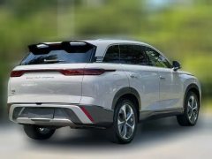 2023 BYD Corvette 07 2023 1.5T AT DM-i 205KM Premium #9