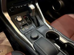 2015 Lexus NX 2016 2.0 AT 200Feng ShangEdition4WD (Imported) #13