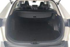 2021 Toyota Wildlander 2020 2.5 AT HybridLuxury 4WD HEV #4