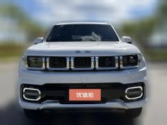 2023 Beijing Off-Road Beijing BJ60 2022 2.0T AT 51Edition 5Seat #2
